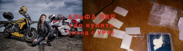 apvp Алзамай