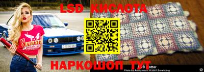 гидропоника Тверь