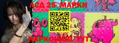 гидропоника Тверь