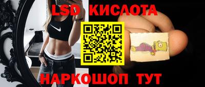 гидропоника Тверь