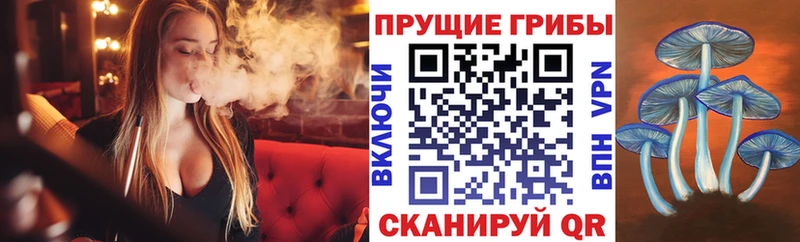 кракен tor закладки нарко площадка наркотические препараты Псилоцибиновые грибы мицелий Бирск