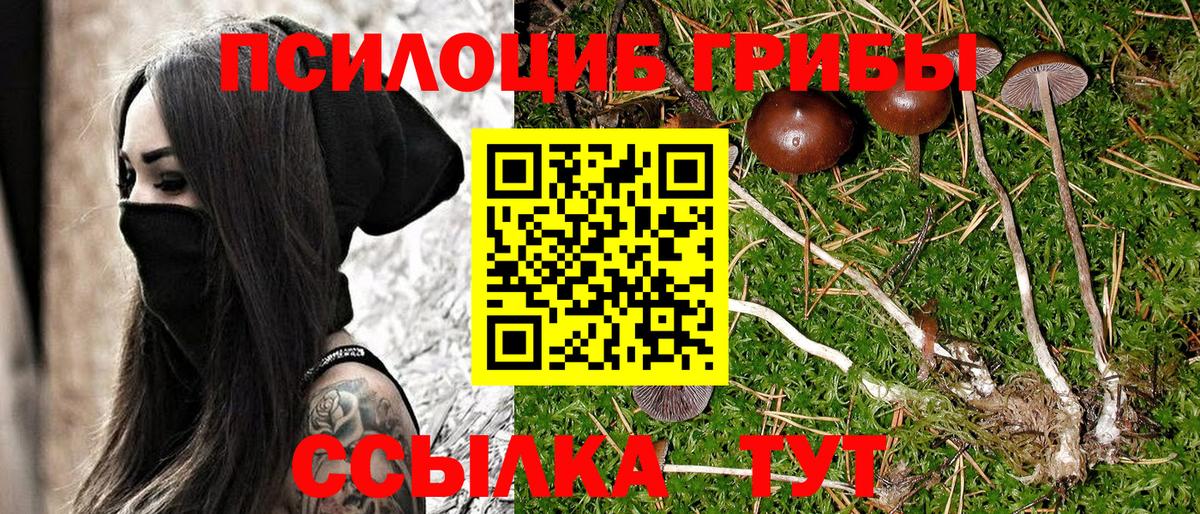 Галлюциногенные грибы MAGIC MUSHROOMS Бирск