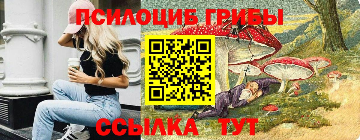 Галлюциногенные грибы MAGIC MUSHROOMS  Псилоцибиновые грибы прущие грибы  Вход с VPN  Бирск 